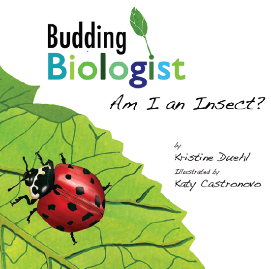 Am I an Insect?